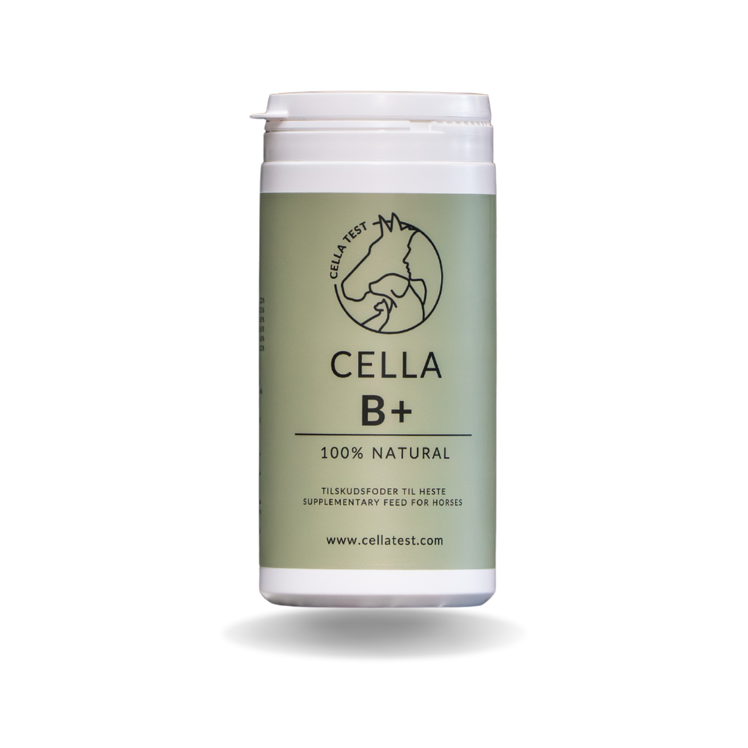 CELLA B+