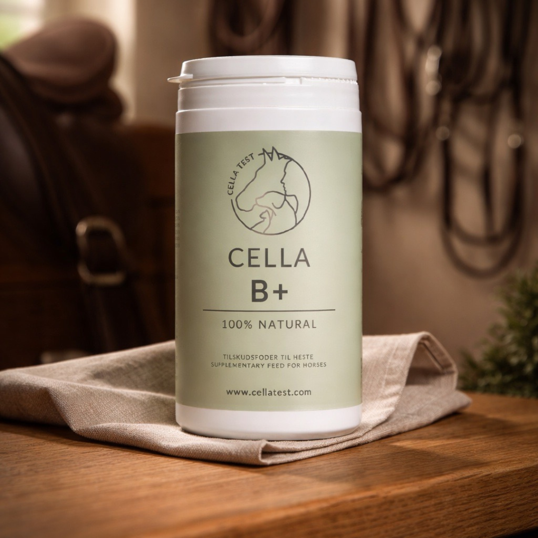 CELLA B+
