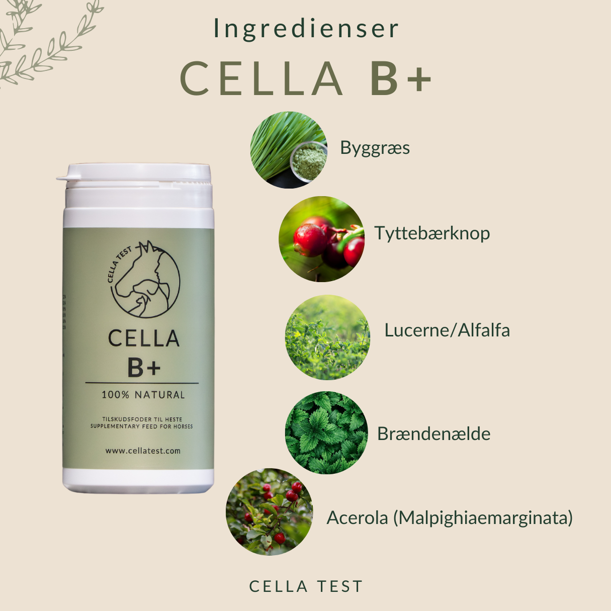 CELLA B+