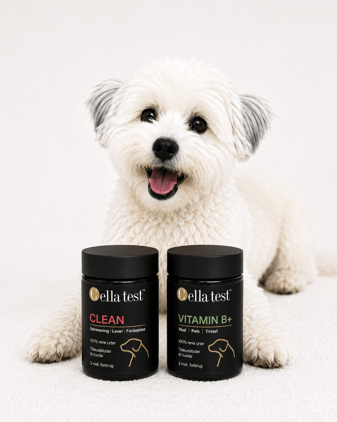 Mave & Balance Pakke hårcelletest | Cella Test