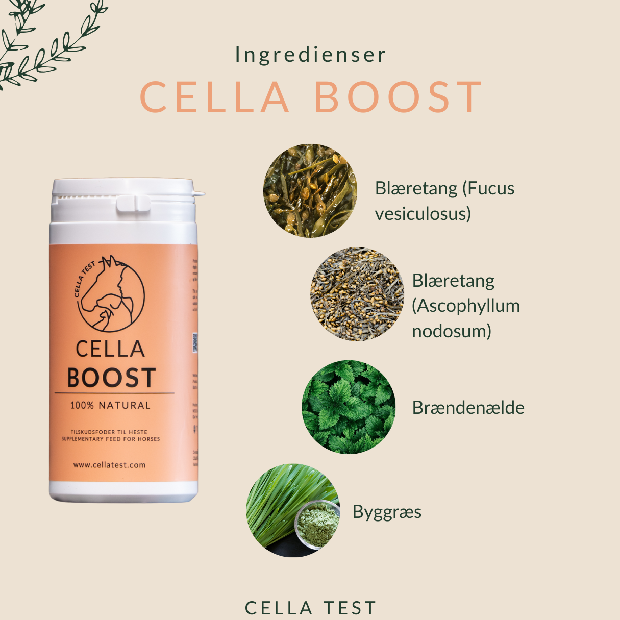 CELLA BOOST