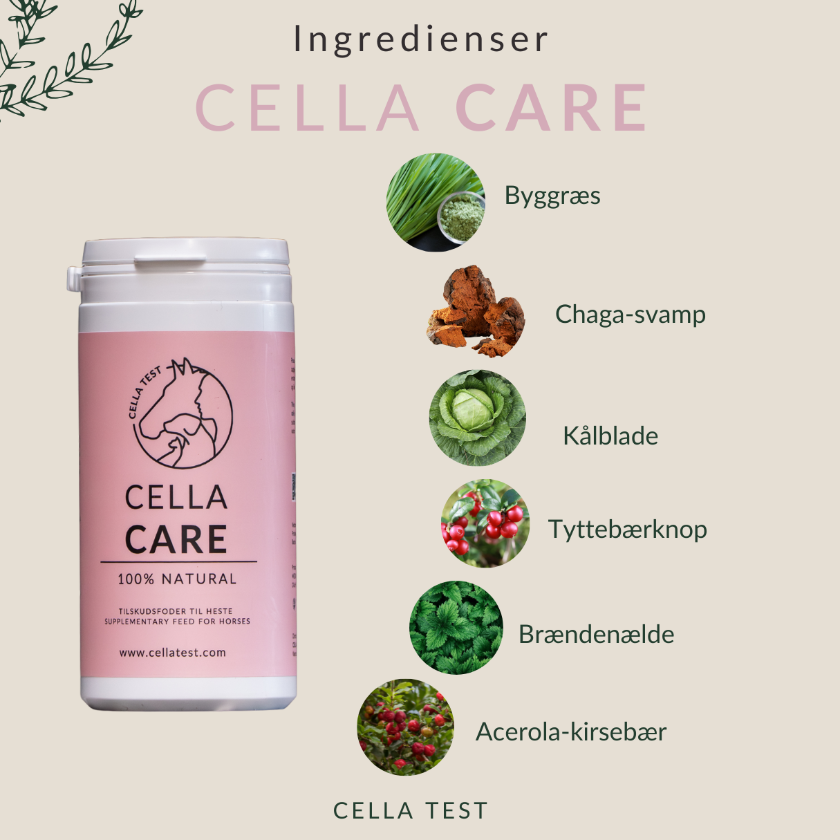 CELLA CARE