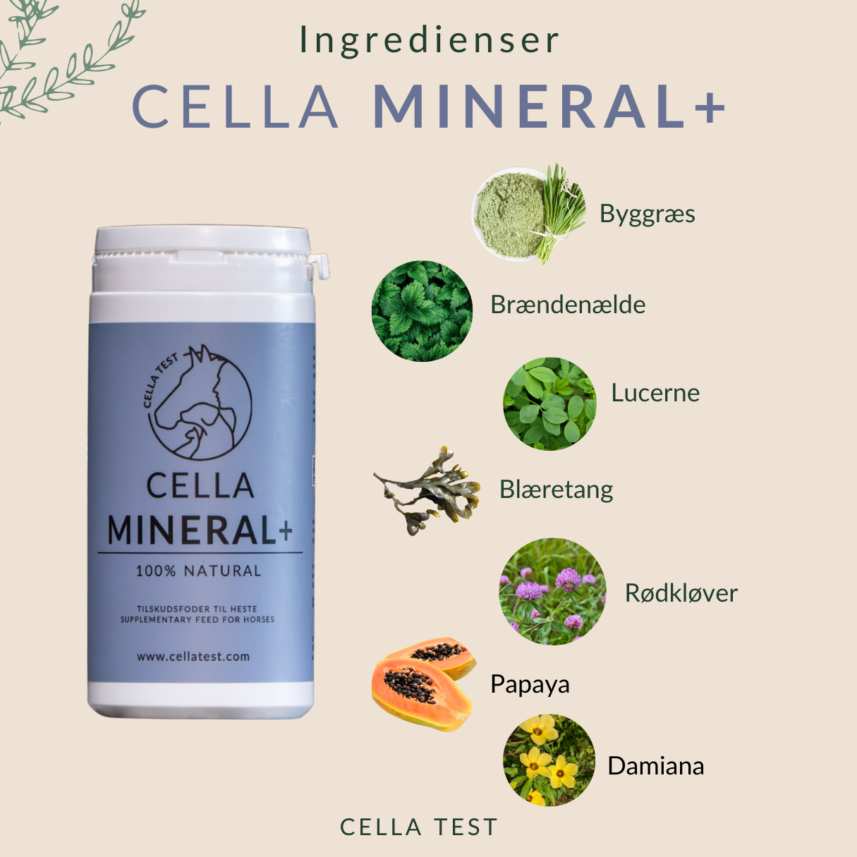 CELLA MINERAL+