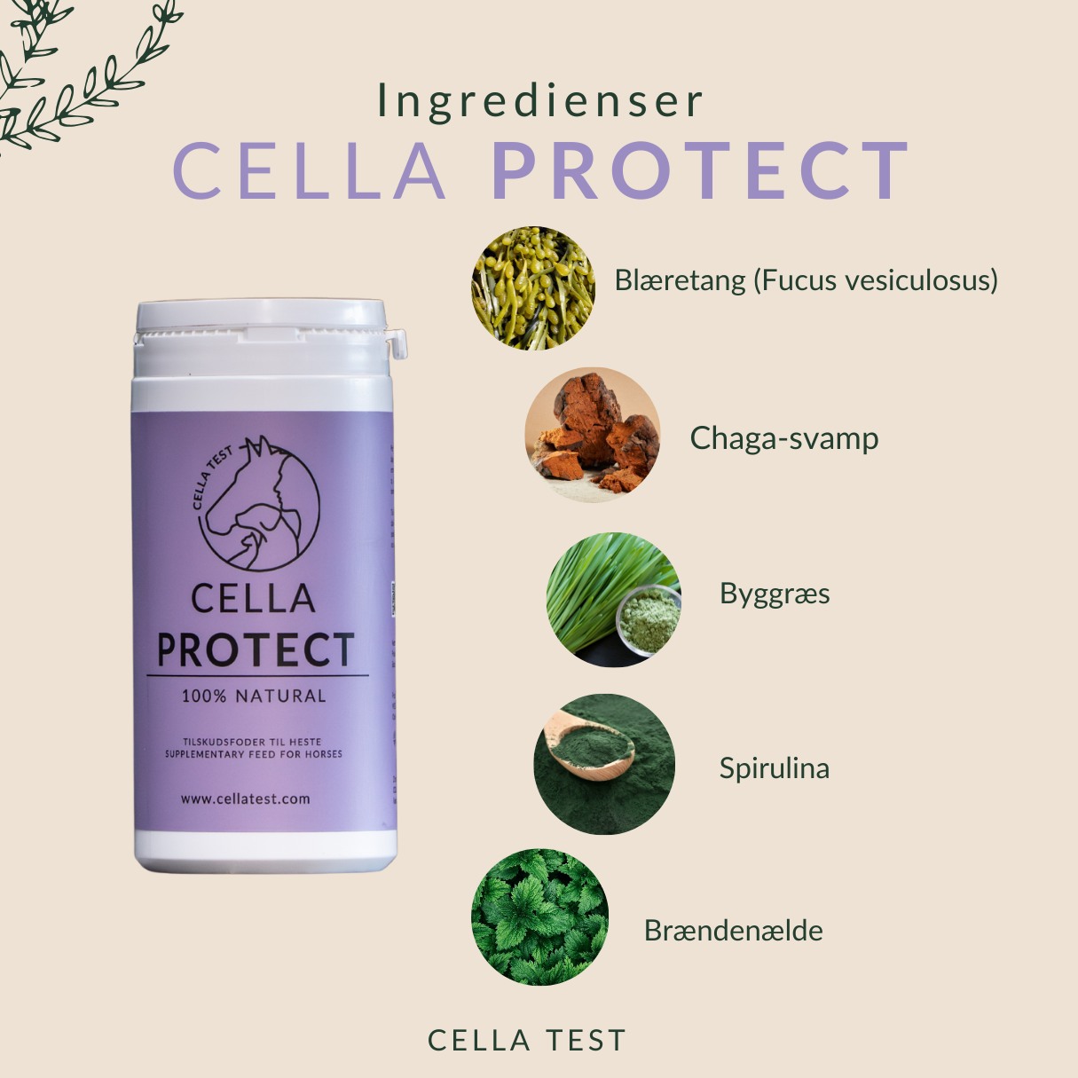 CELLA PROTECT