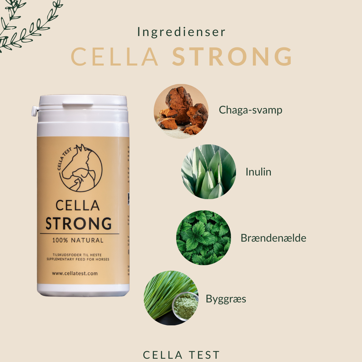 CELLA STRONG