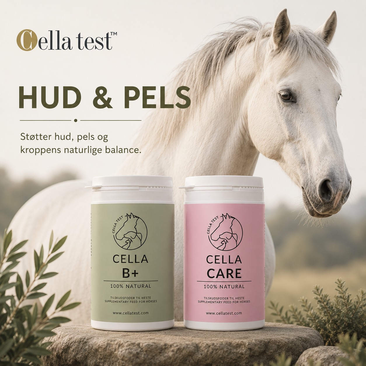 Hud, Pels &amp; Glans