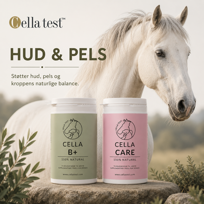 Hud, Pels &amp; Glans