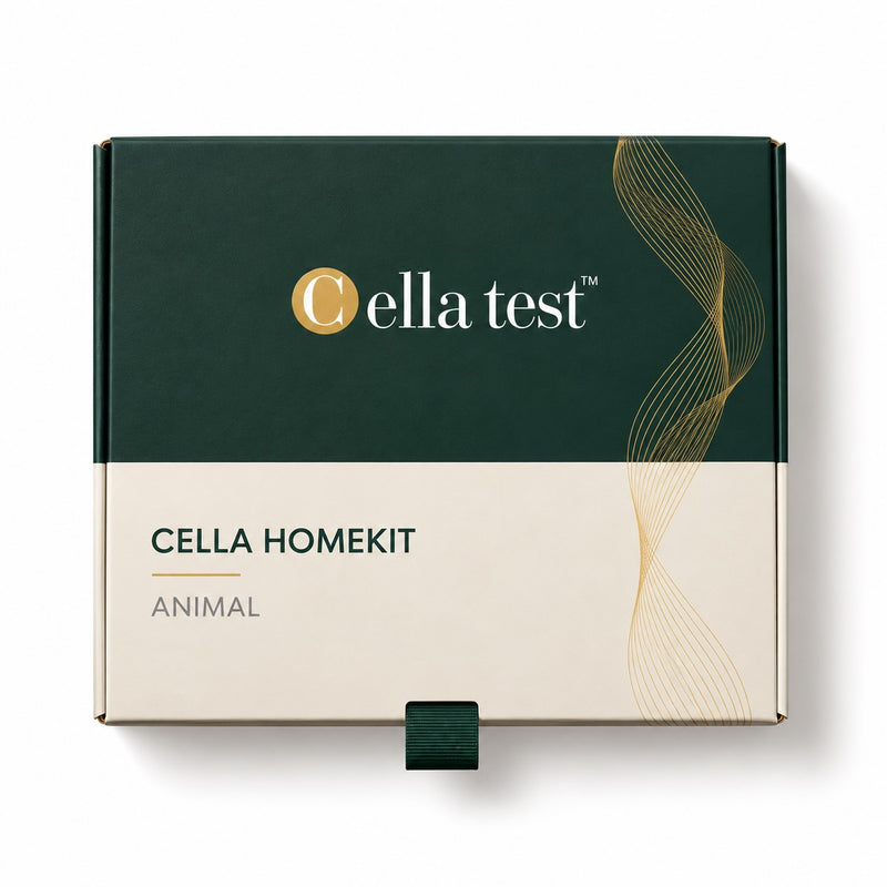 Cella HomeKit Hund