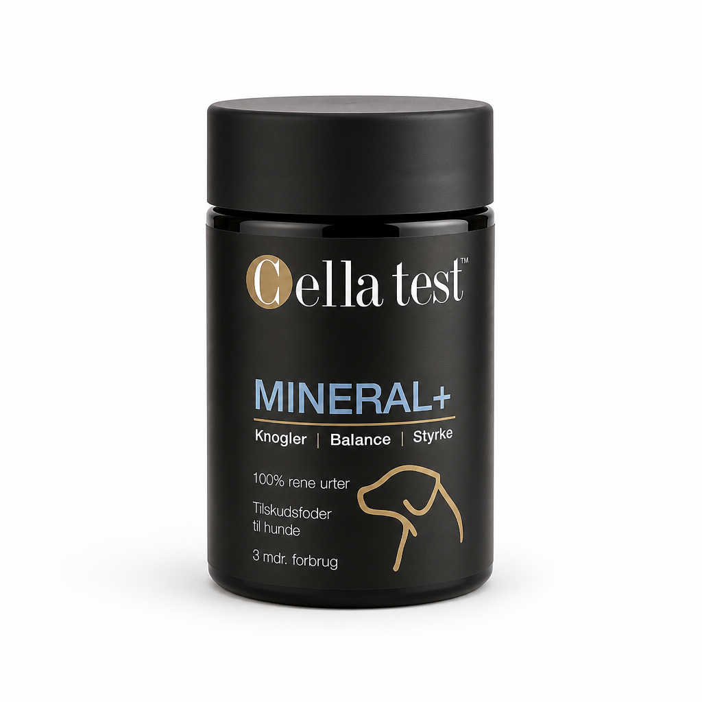 MINERAL+