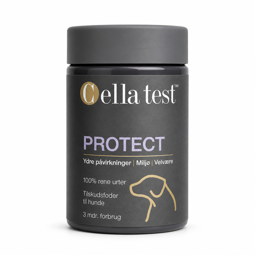 PROTECT