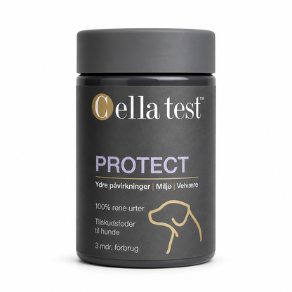 PROTECT