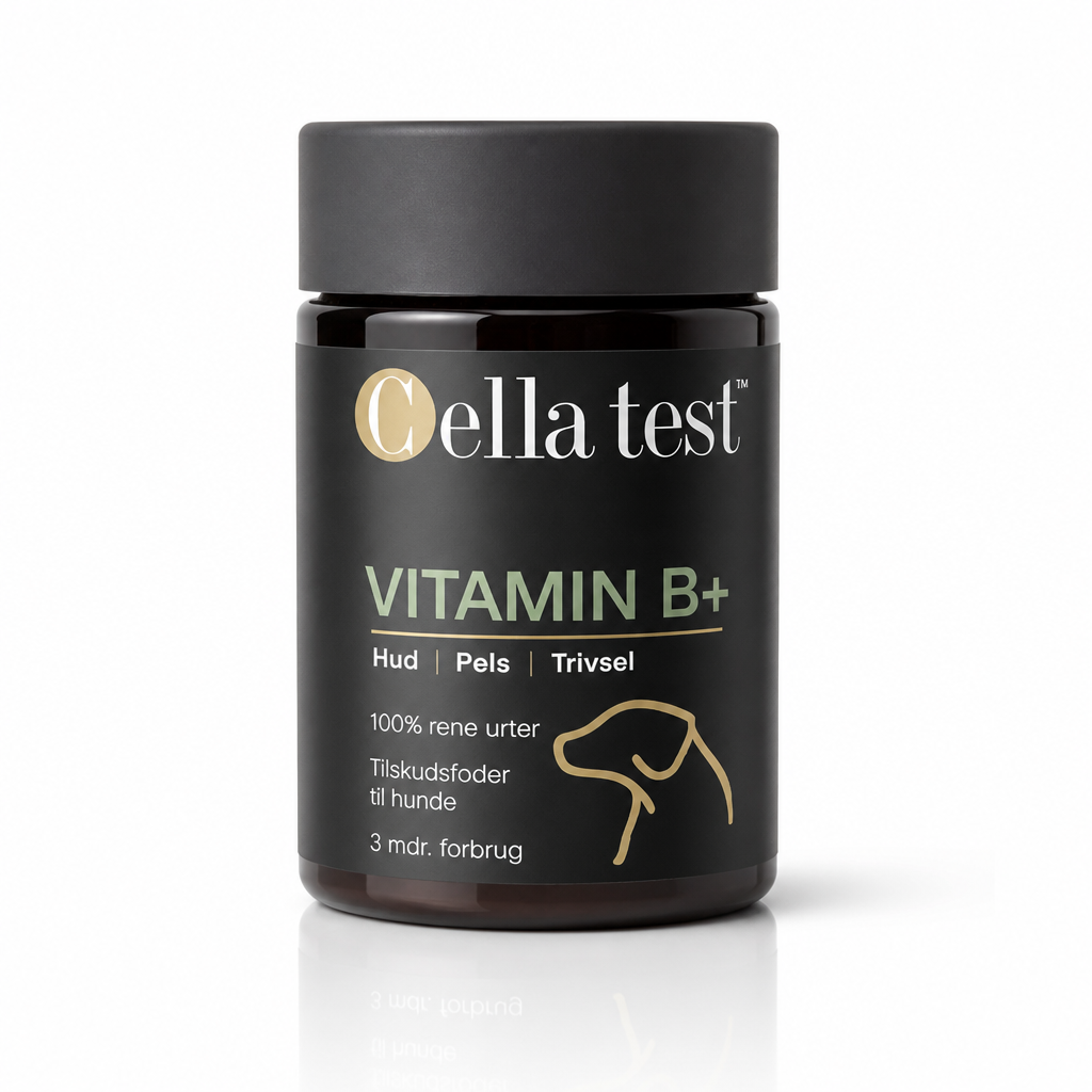 VITAMIN B+