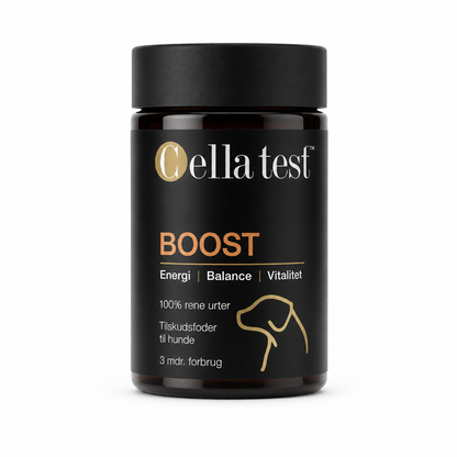 BOOST