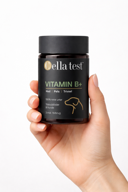 VITAMIN B+