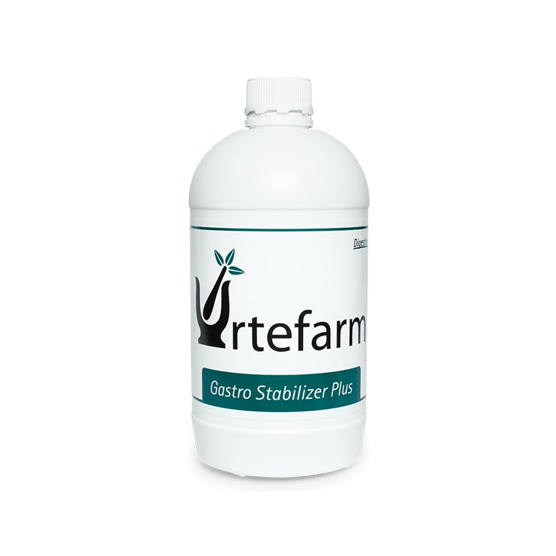 Gastro Stabilizer
