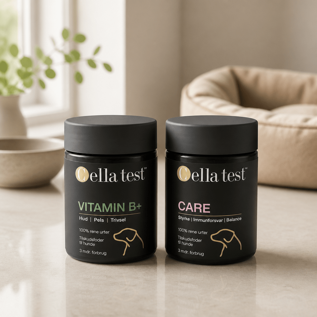 Balance &amp; Trivsel Pakke hårcelletest | Cella Test