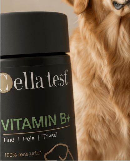 Mave &amp; Balance Pakke hårcelletest | Cella Test