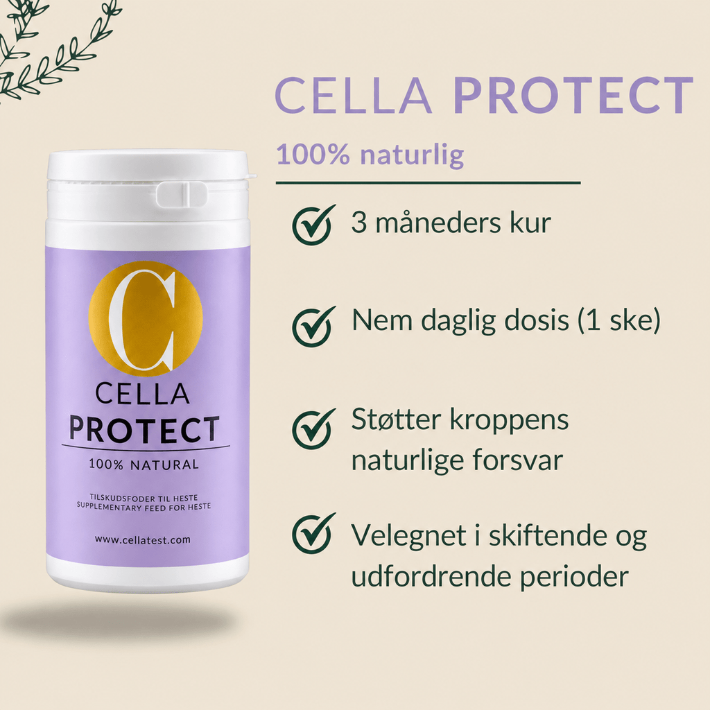 CELLA PROTECT hårcelletest | Cella Test