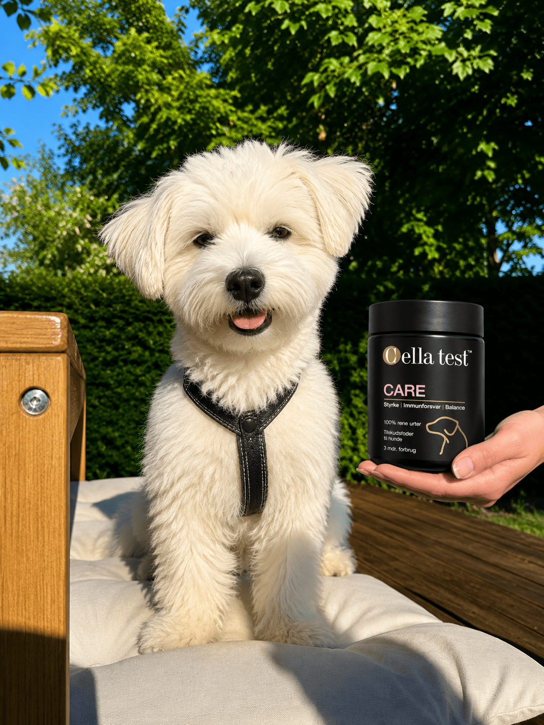 CARE hårcelletest | Cella Test