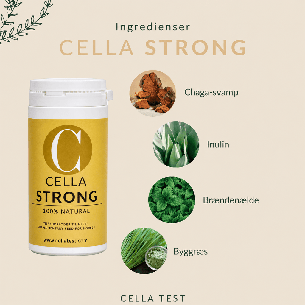 CELLA STRONG hårcelletest | Cella Test
