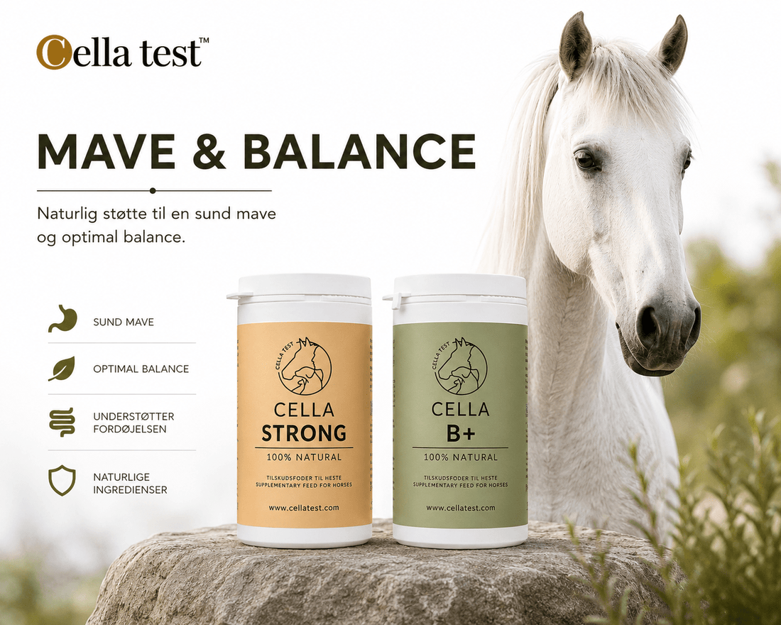 Mave &amp; Balance hårcelletest | Cella Test