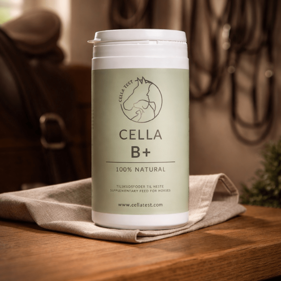 CELLA B+ hårcelletest | Cella Test