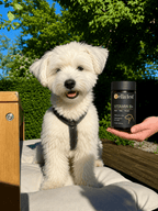 VITAMIN B+ hårcelletest | Cella Test