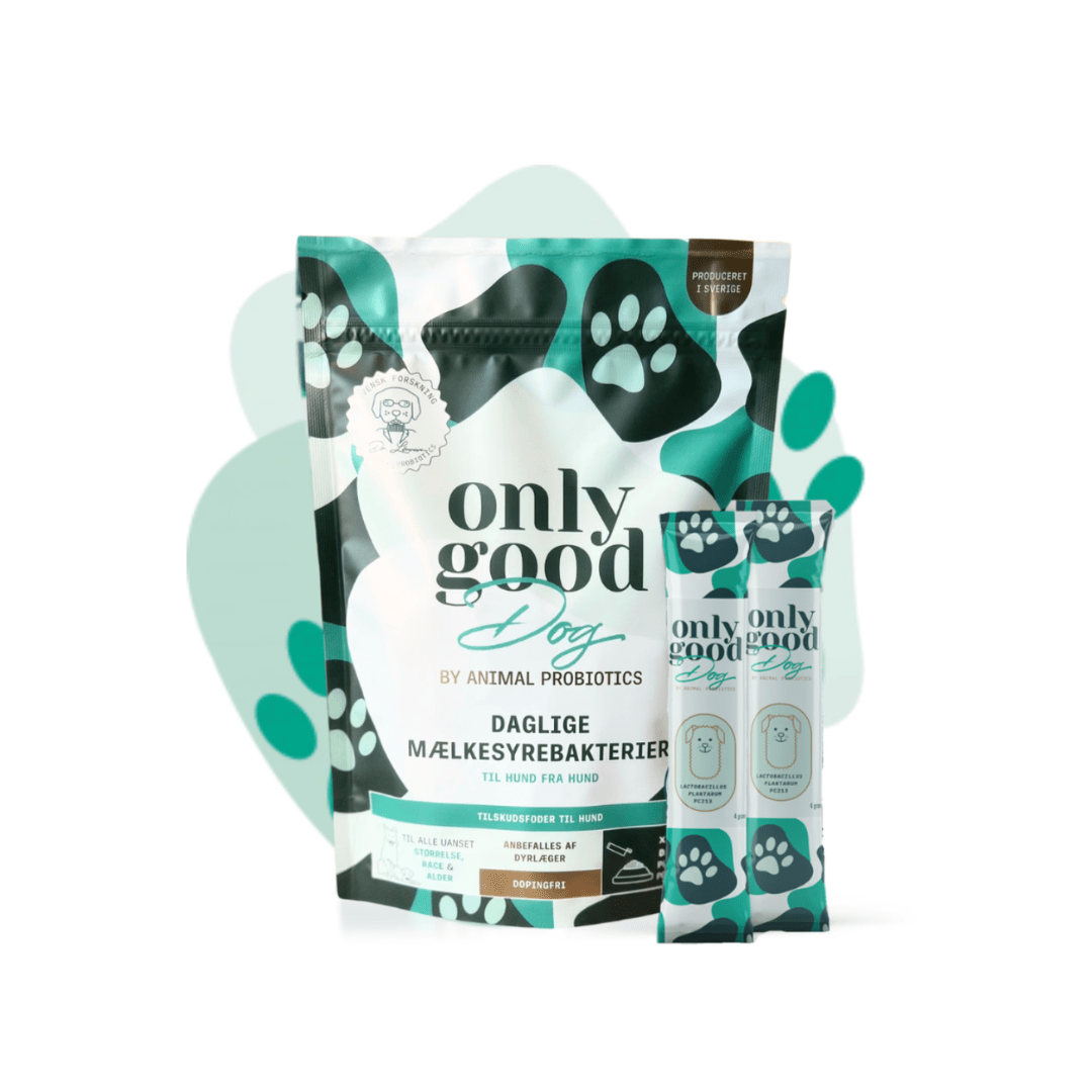 OnlygoodDog