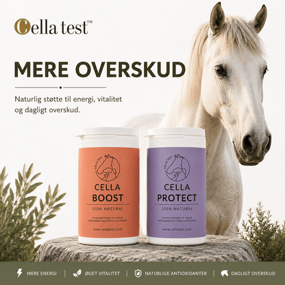 Mere Overskud hårcelletest | Cella Test