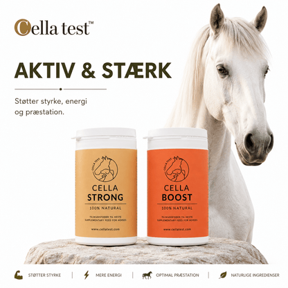 Aktiv &amp; Stærk hårcelletest | Cella Test