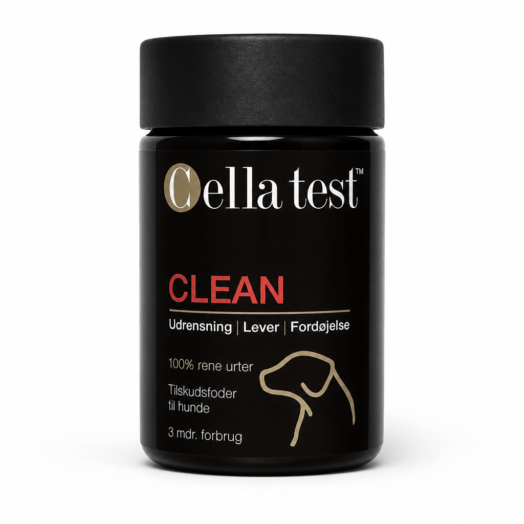 CLEAN hårcelletest | Cella Test