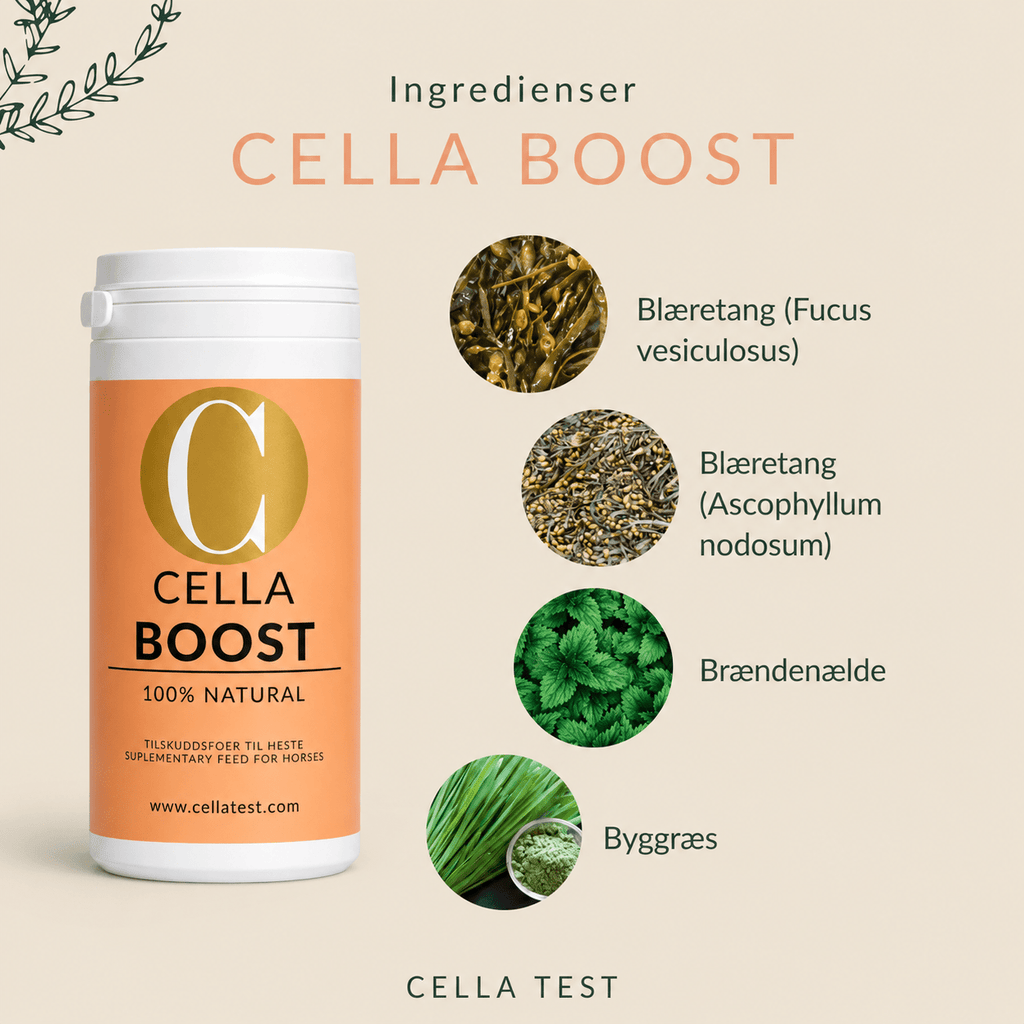 CELLA BOOST hårcelletest | Cella Test