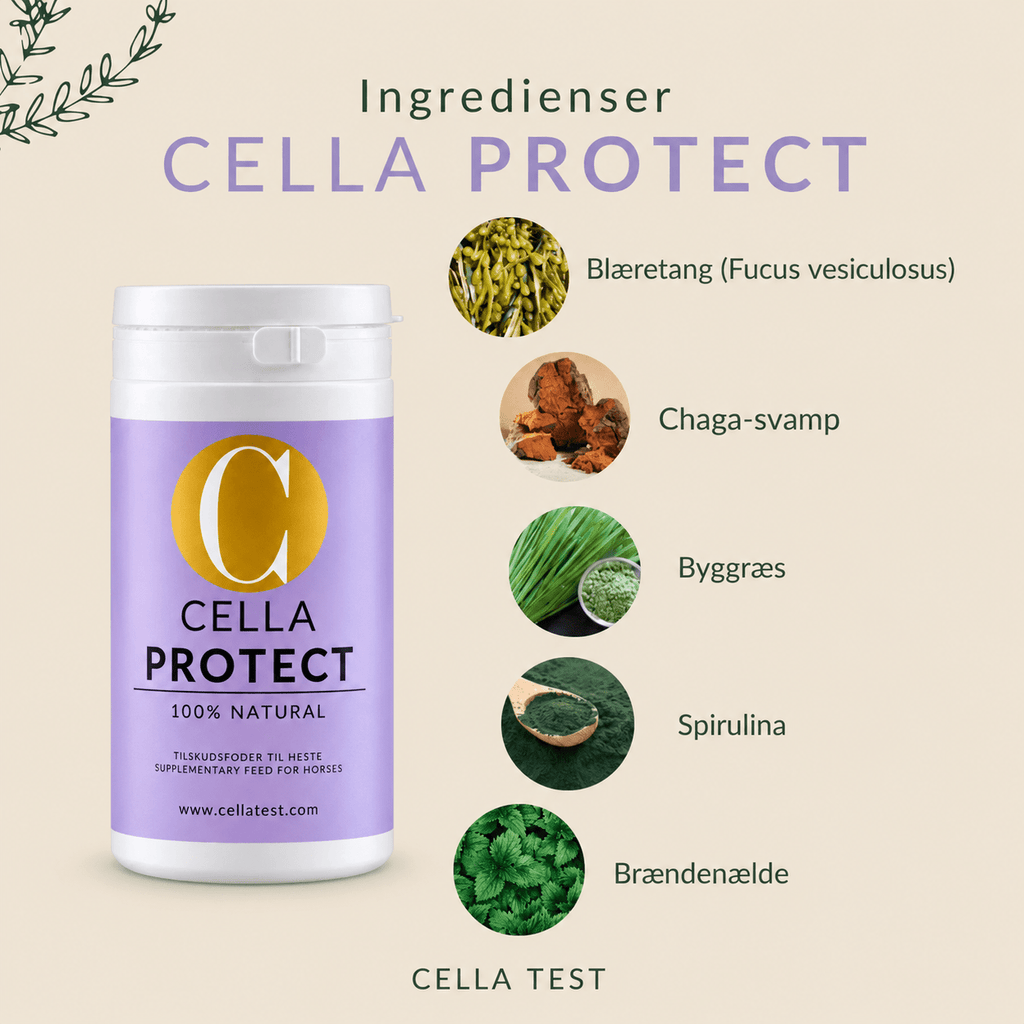 CELLA PROTECT hårcelletest | Cella Test