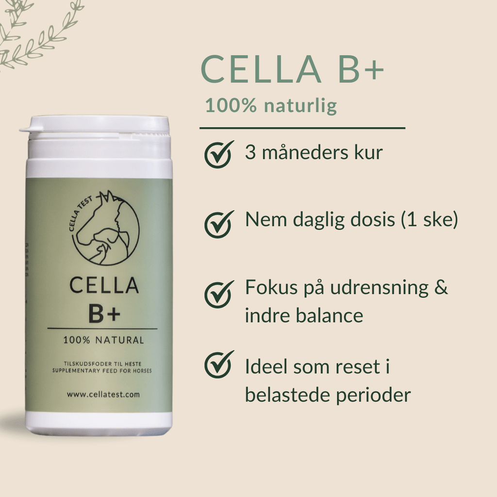 CELLA B+ hårcelletest | Cella Test