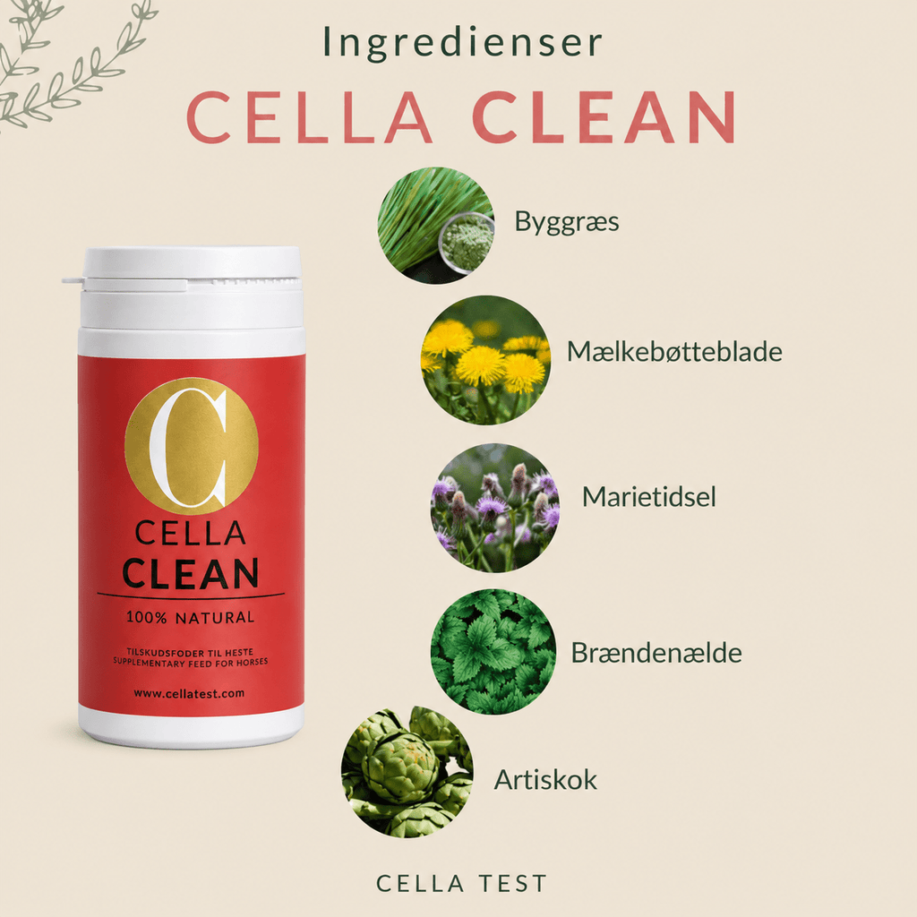 CELLA CLEAN hårcelletest | Cella Test