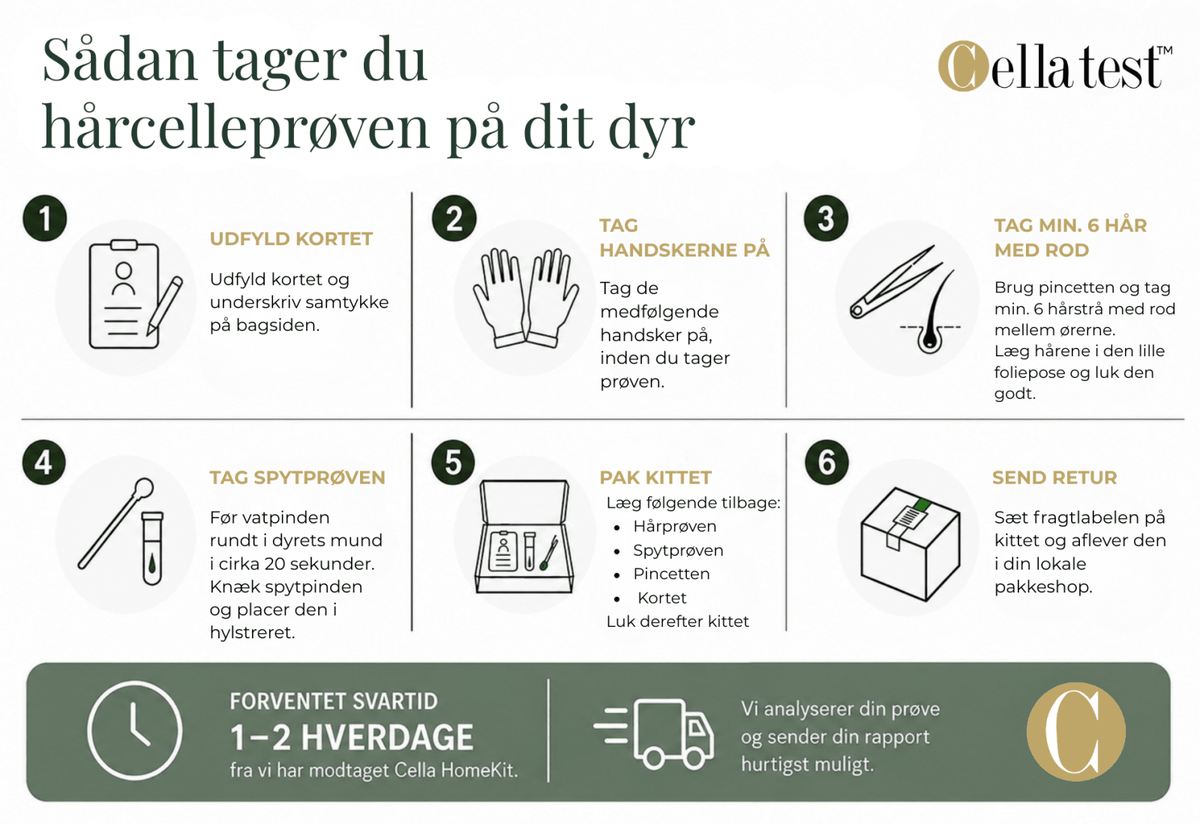 Cella HomeKit Hund hårcelletest | Cella Test