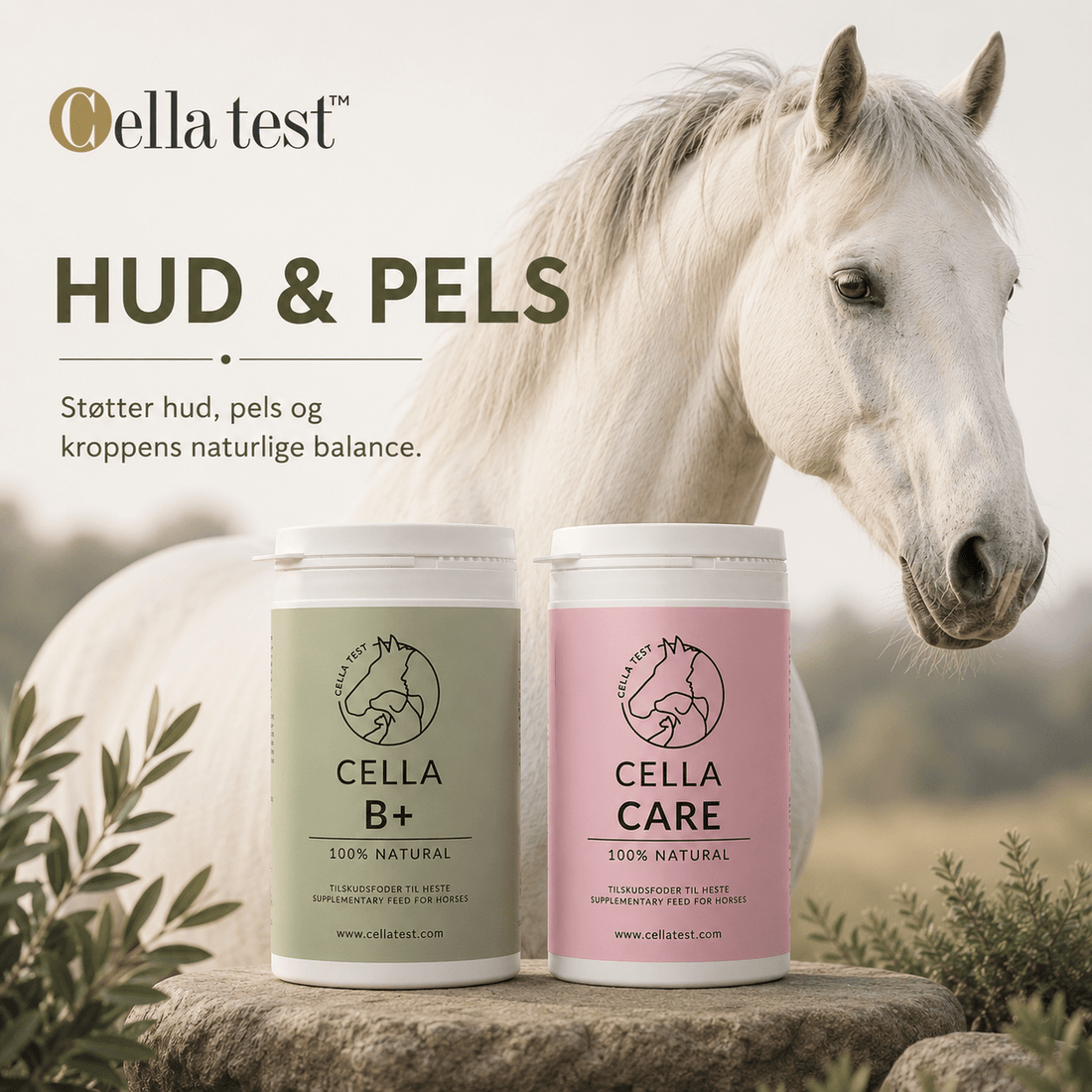Hud, Pels &amp; Glans hårcelletest | Cella Test