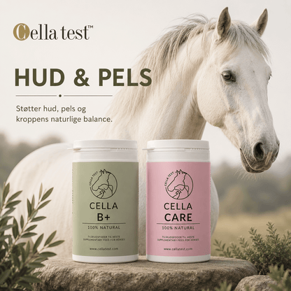 Hud, Pels &amp; Glans hårcelletest | Cella Test