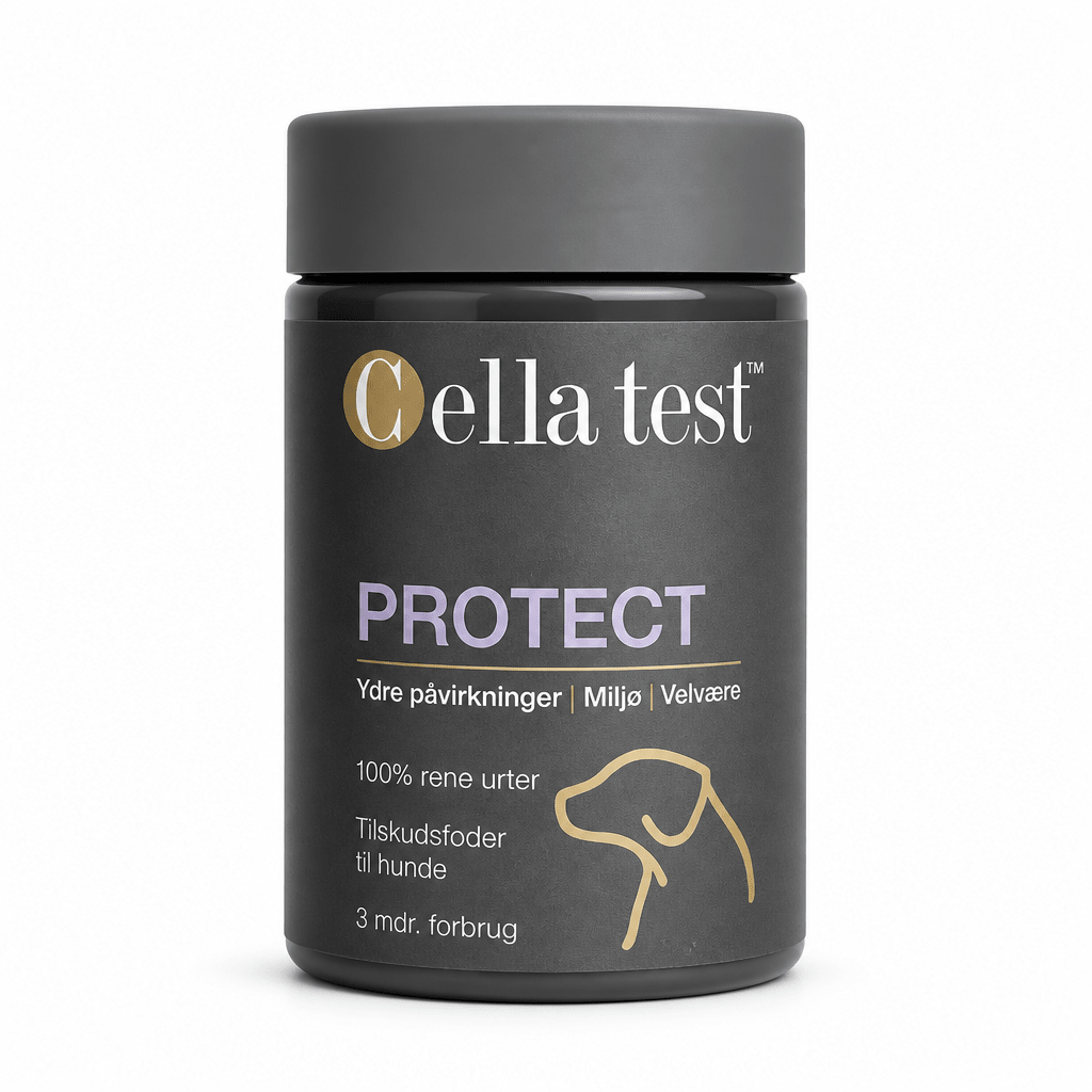 PROTECT hårcelletest | Cella Test