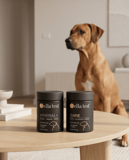 Hud &amp; Pels Pakke hårcelletest | Cella Test