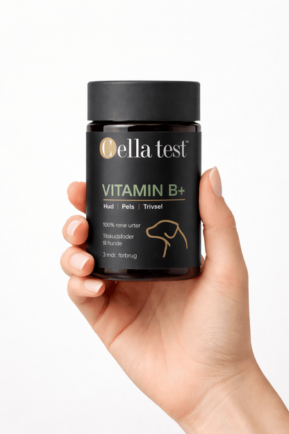 VITAMIN B+ hårcelletest | Cella Test