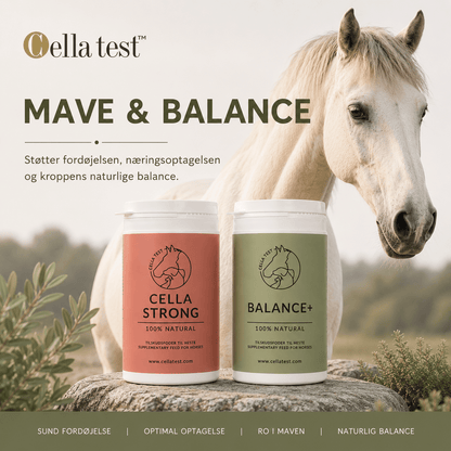 Mave &amp; Balance hårcelletest | Cella Test