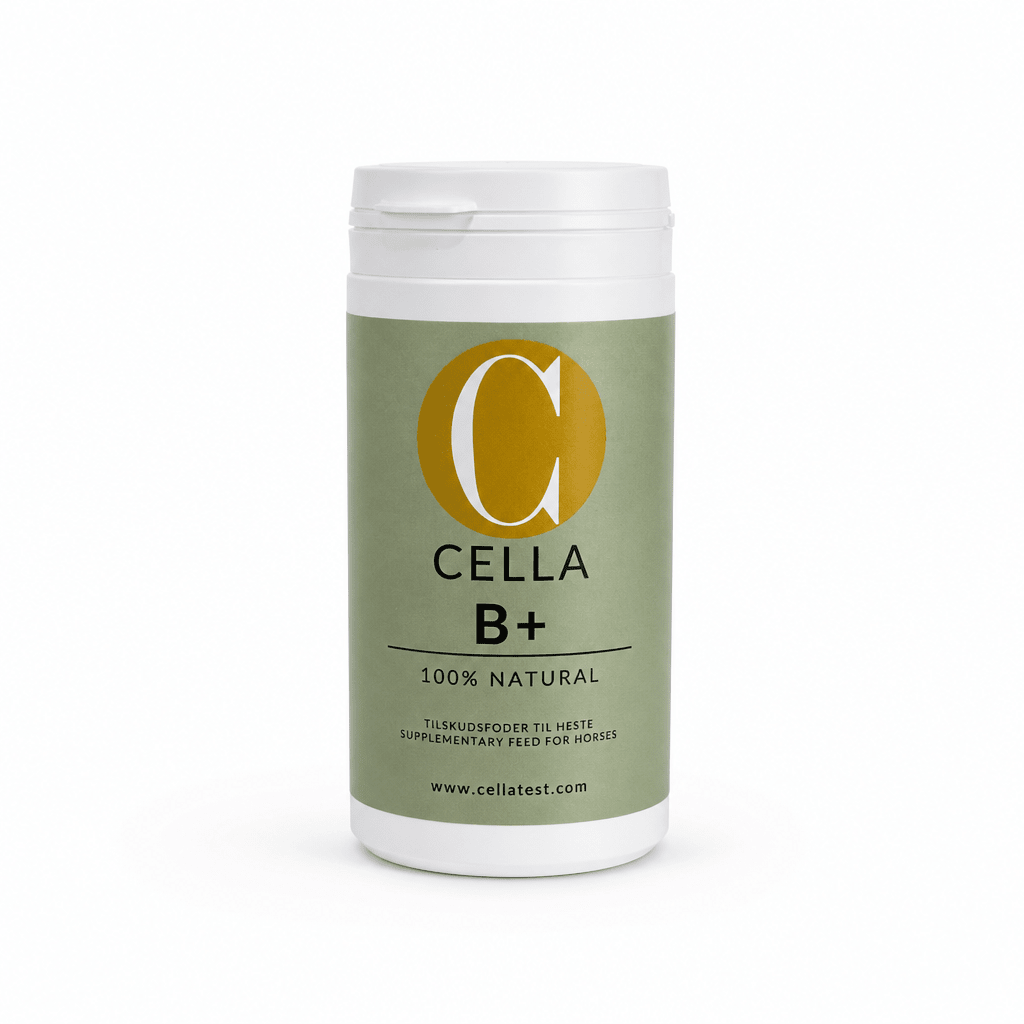 CELLA B+