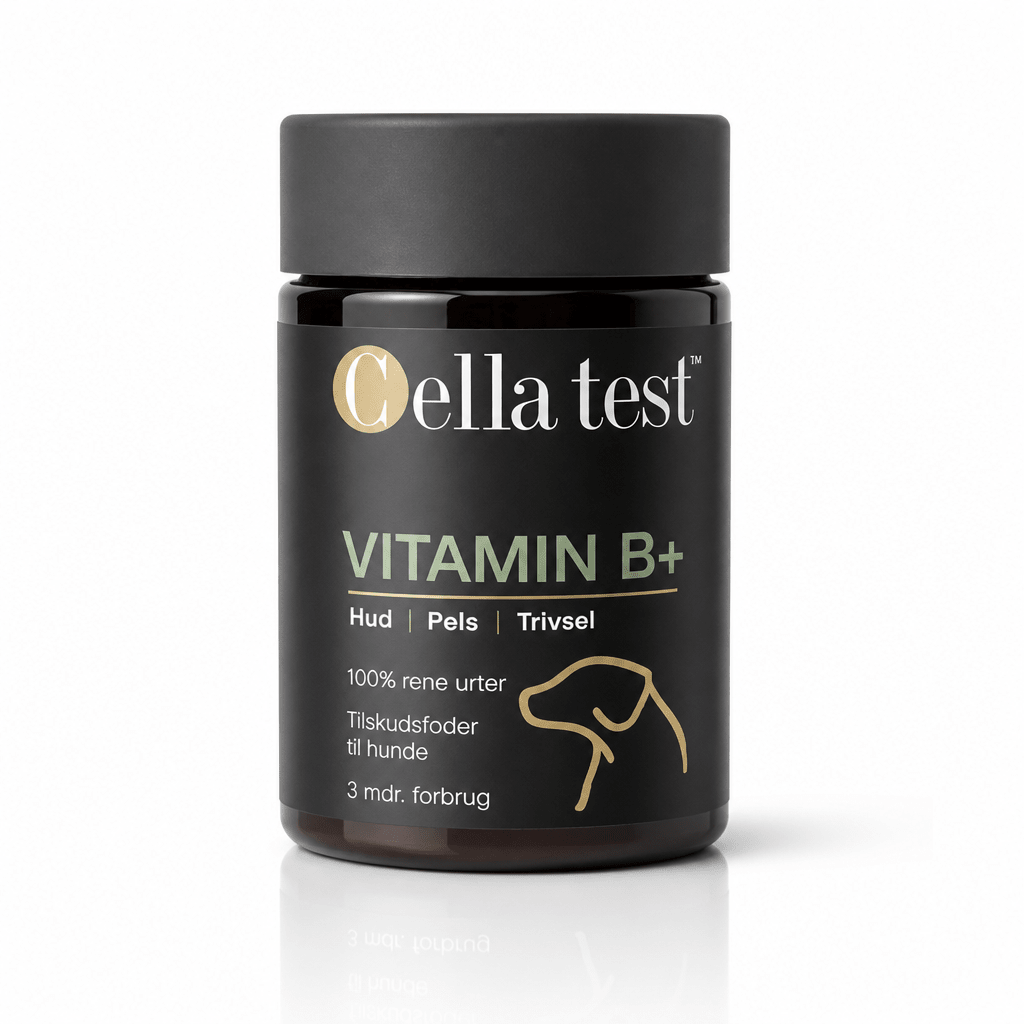 VITAMIN B+ hårcelletest | Cella Test