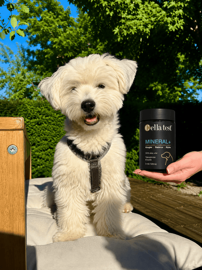 MINERAL+ hårcelletest | Cella Test