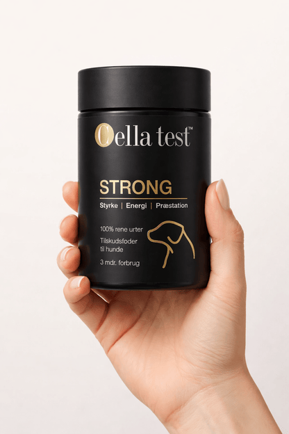 STRONG hårcelletest | Cella Test