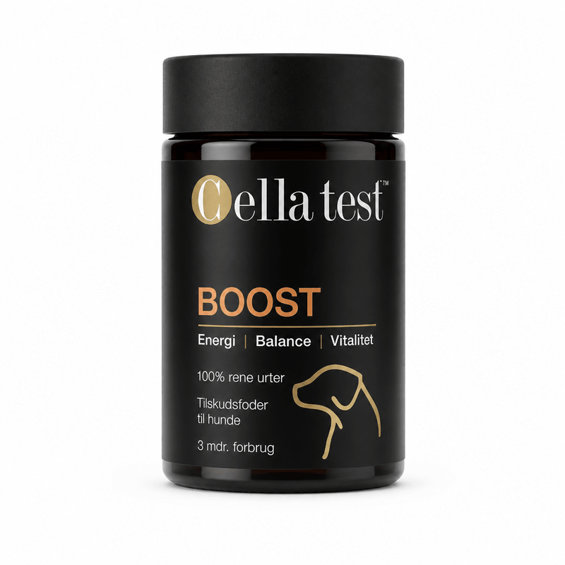 BOOST hårcelletest | Cella Test