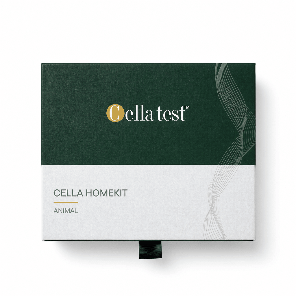 Cella HomeKit Hest