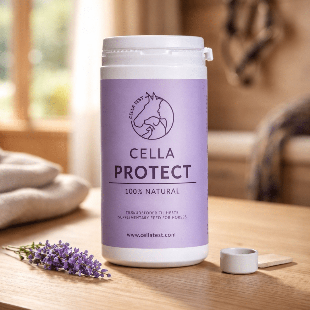CELLA PROTECT hårcelletest | Cella Test