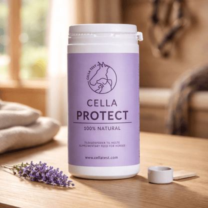 CELLA PROTECT hårcelletest | Cella Test